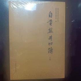 自贡盐井口簿 上下册（全新未拆封）