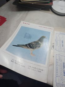 创刊号《赛鸽天地》1995年 第1期 总第1期 有彩插 杂志