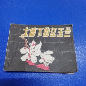 连环画 大墙下的红玉兰