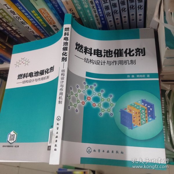 燃料电池催化剂——结构设计与作用机制