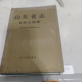 山东省志 化学工业志