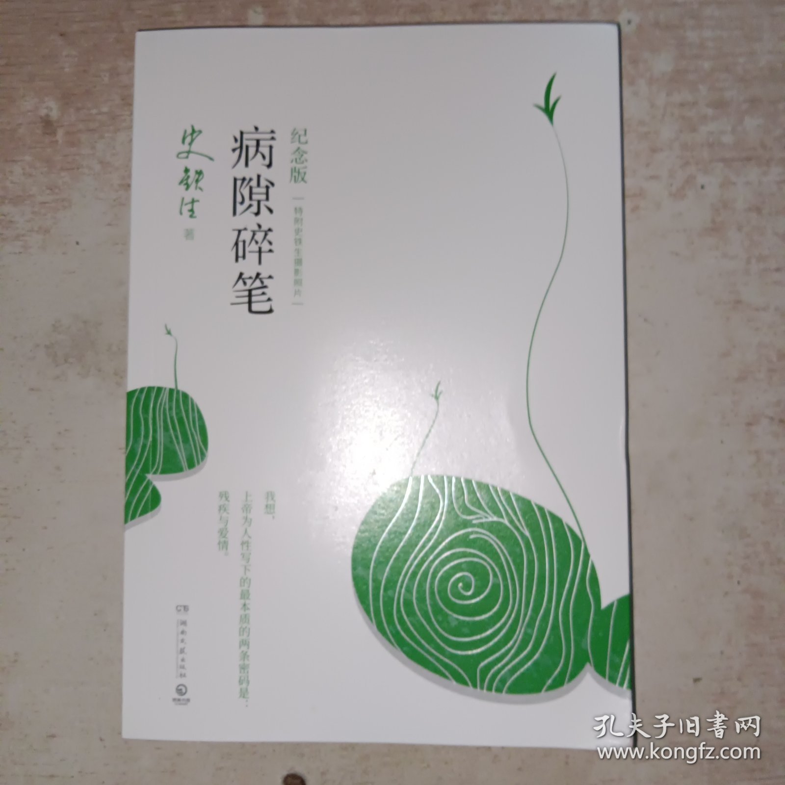 病隙碎笔：2017年纪念版