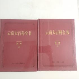 云南大百科全书（历史卷）全两册