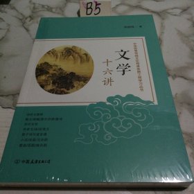 文学十六讲：中华优秀传统文化传承发展工程学习丛书（未拆封）