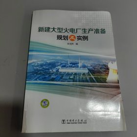 新建大型火电厂生产准备规划及实例