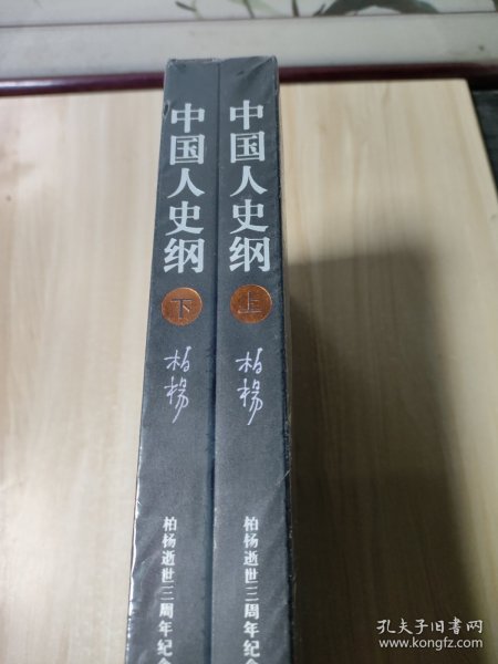 中国人史纲（上下)