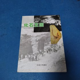 化石王国