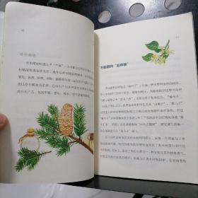 【正版一版一印】树木疗愈