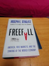 Freefall：Free Markets and the Sinking of the Global Economy