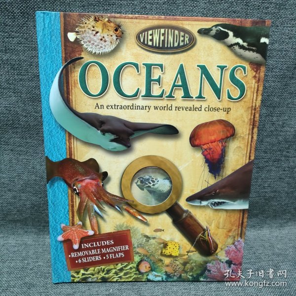 Viewfinder: Oceans 蓝色海洋