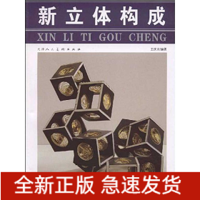新立體構(gòu)成