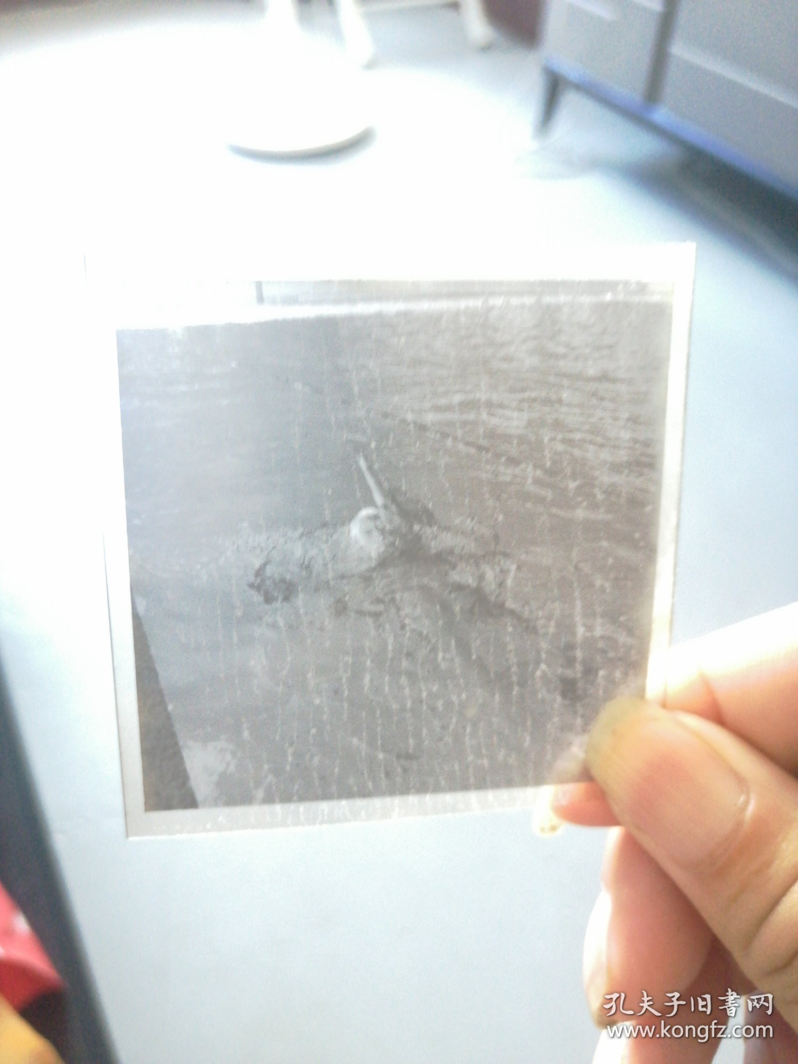 三届省运会游泳比赛，破少年纪录，1974年8月在成都