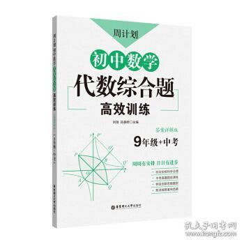 周计划：初中数学代数综合题高效训练（9年级+中考）