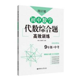 周计划：初中数学代数综合题高效训练（9年级+中考）