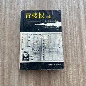 青楼恨:续集