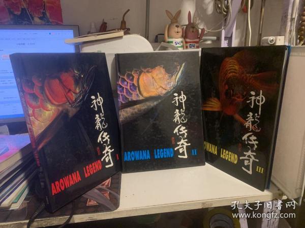 神龙传奇(1  2 3 ) 3册合售