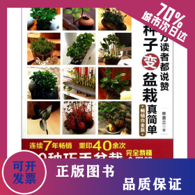 百萬讀者都說贊 種子變盆栽真簡(jiǎn)單 9787534962615