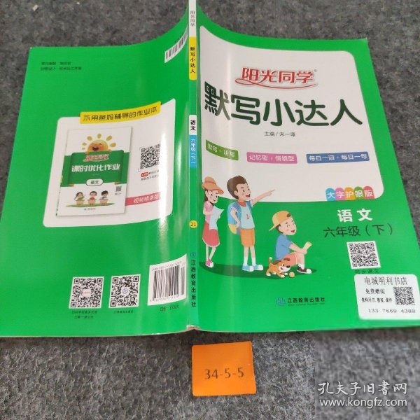 阳光同学默写小达人：语文（六年级下大字护眼版）