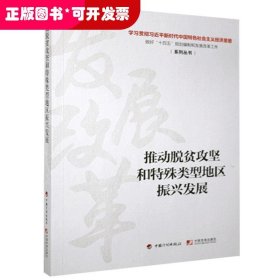 推动脱贫攻坚和特殊类型地区振兴发展