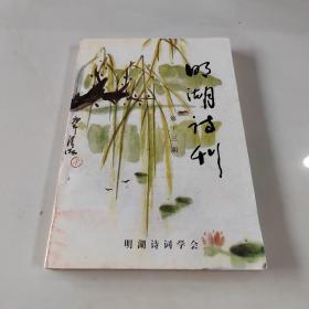 明湖诗刊 第十三期