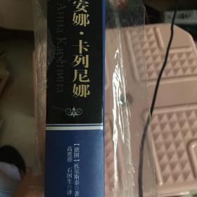 中译经典文库·世界文学名著：安娜·卡列尼娜（全译本）