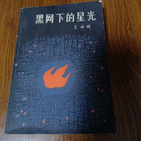 黑网下的星光