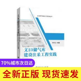 文23儲氣庫建設注采工程實踐/文23儲氣庫建設工程實踐叢書