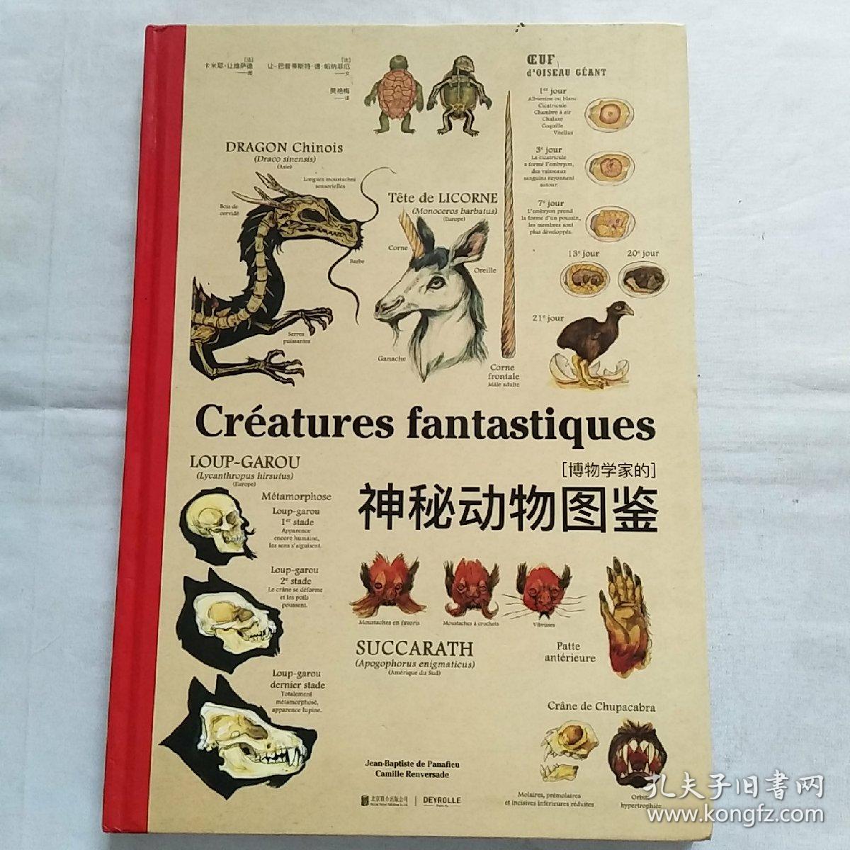 博物学家的神秘动物图鉴