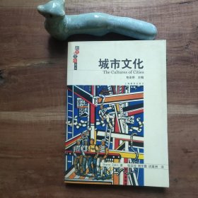 城市文化 都市与文化译丛 图4－6瑕疵