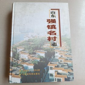 山东强镇名村志，精装