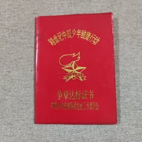 跨世纪中国少年雏鹰行动争章达标证书
