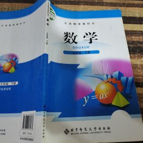 数学 : 彩版. 九年级. 下册