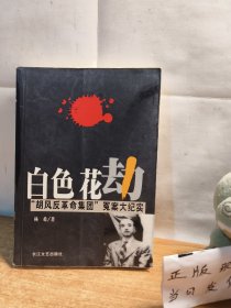 白色花劫：“胡风反革命集团”冤案大纪实