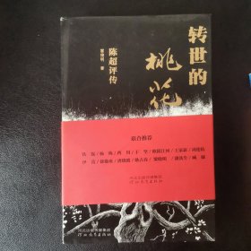 转世的桃花：陈超评传