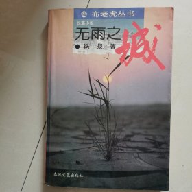 无雨之城