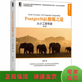 PostgreSQL修炼之道 从小工到专家 第2版 领域经典著作升级版