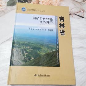 吉林省铜矿矿产资源潜力评价