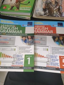 LEARNINC ENGLISH GRAMMAR（2本合售）外文书