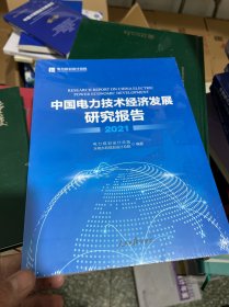 中国电力技术经济发展研究报告2021  十品未拆封膜