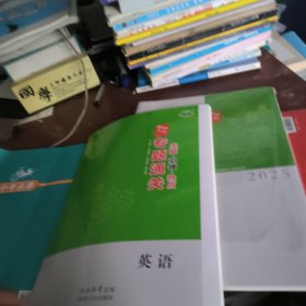 2025版 創(chuàng)新設(shè)計(jì)專題通關(guān)·英語