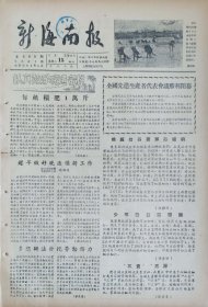 新海南报1956年5月15日