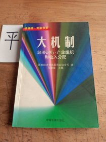 大机制:经济运行·产业组织和收入分配