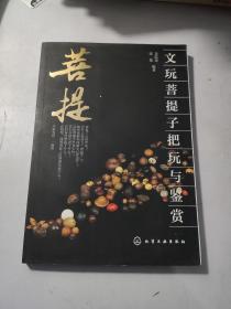 文玩菩提子把玩与鉴赏