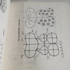 中国风筝技艺精华 风莺四艺