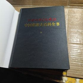 中国彝族大百科全书（套装上下册）