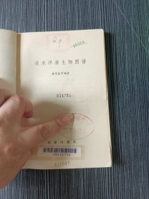 淡水浮游生物图谱