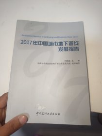 2017年中国城市地下管线发展报告