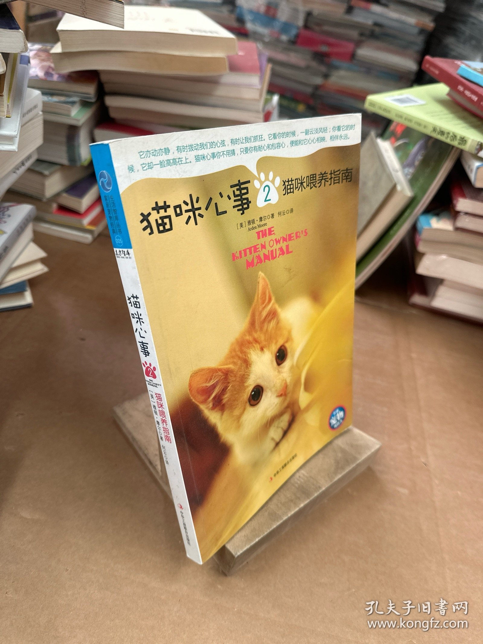 猫咪心事2：猫咪喂养指南