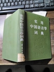实用中国语言学词典