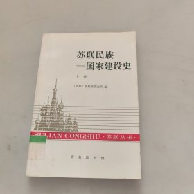 苏联民族——国家建设史（上卷）